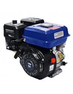 MOTOR NAFTERO 7HP 4T P.M.*