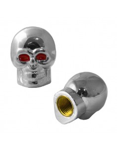 TAPITA DEPORTIVA CRANEO 2