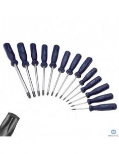 JG. DEST. TORX T6 A T50 13 PZ