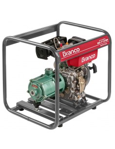 MOTOBOMBA DIÉSEL 5HP P.M....