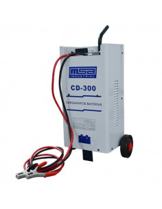 CARGADOR DE BATERÍA 100A...