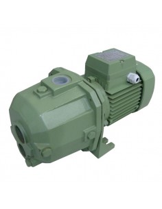 MOTOBOMBA INYECTORA  0,85HP...