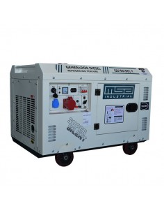 GENERADOR DIÉSEL 10KVA TRIF 380/220V P.E